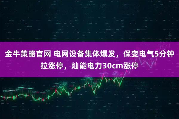 金牛策略官网 电网设备集体爆发，保变电气5分钟拉涨停，灿能电力30cm涨停