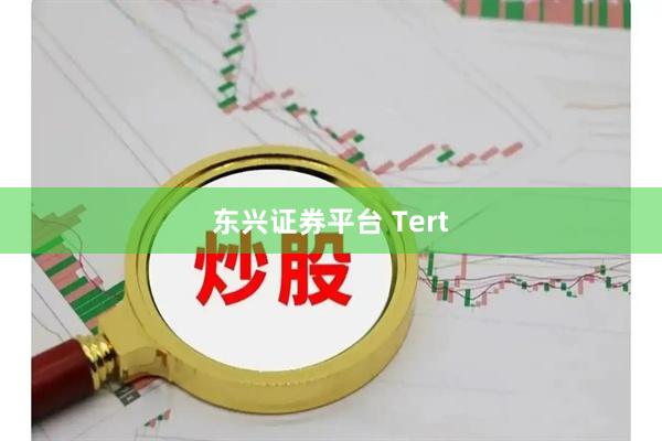 东兴证券平台 Tert
